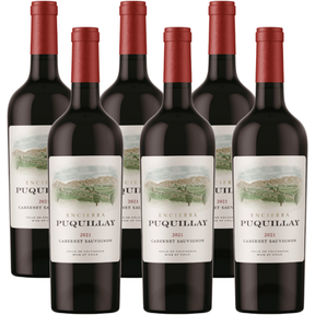 Vino Puquillay Cabernet Sauvignon 2021-  6 Botellas...